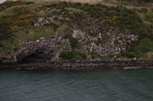 HARINGTON-POINT-DUNEDIN (32)